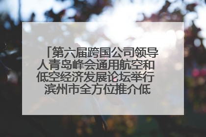 第六届跨国公司领导人青岛峰会通用航空和低空经济发展论坛举行 滨州市全方位推介低空经济发展优势