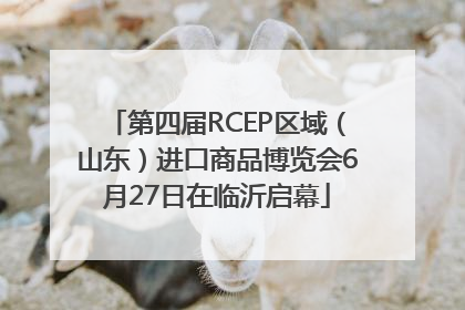 第四届RCEP区域（山东）进口商品博览会6月27日在临沂启幕