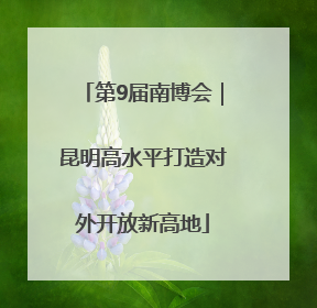 第9届南博会｜昆明高水平打造对外开放新高地