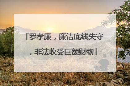 罗孝廉，廉洁底线失守，非法收受巨额财物