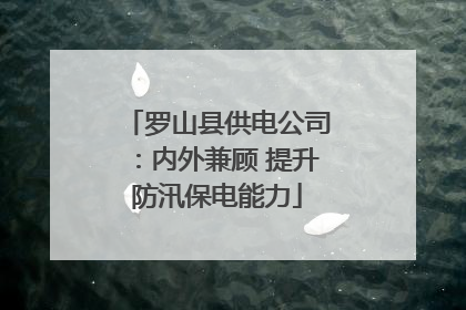 罗山县供电公司：内外兼顾 提升防汛保电能力