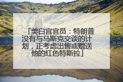 美白宫官员：特朗普没有与马斯克交谈的计划，正考虑出售或赠送他的红色特斯拉