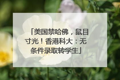 美国禁哈佛，鼠目寸光！香港科大：无条件录取转学生