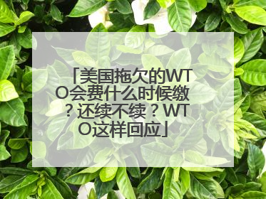美国拖欠的WTO会费什么时候缴？还续不续？WTO这样回应