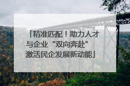 精准匹配！助力人才与企业“双向奔赴” 激活民企发展新动能