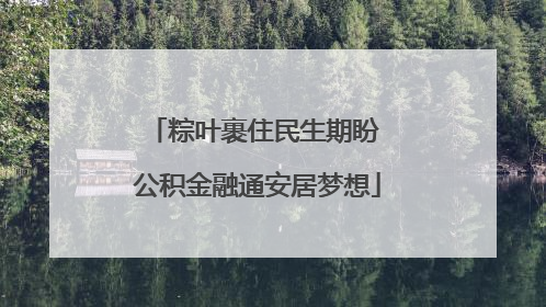 粽叶裹住民生期盼 公积金融通安居梦想