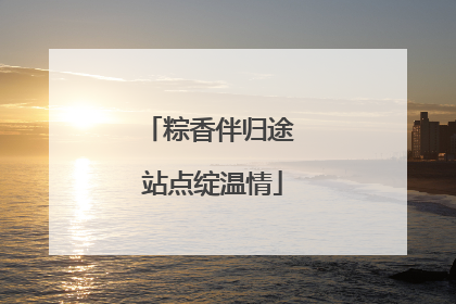 粽香伴归途 站点绽温情