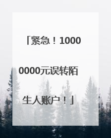 紧急！10000000元误转陌生人账户！