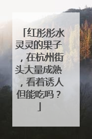 红彤彤水灵灵的果子，在杭州街头大量成熟，看着诱人但能吃吗？