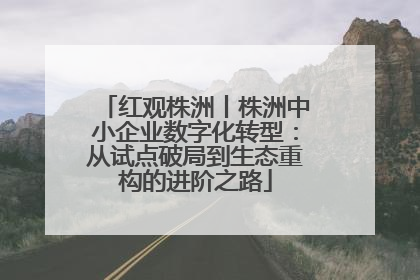 红观株洲丨株洲中小企业数字化转型：从试点破局到生态重构的进阶之路