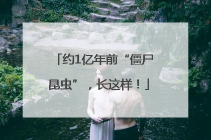 约1亿年前“僵尸昆虫”，长这样！