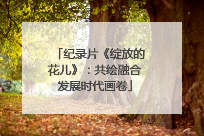 纪录片《绽放的花儿》：共绘融合发展时代画卷
