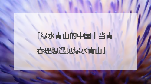 绿水青山的中国丨当青春理想遇见绿水青山