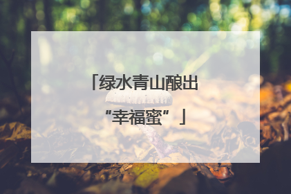 绿水青山酿出“幸福蜜”