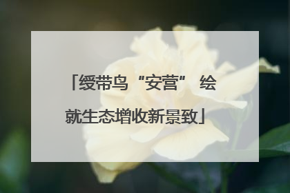 绶带鸟“安营” 绘就生态增收新景致