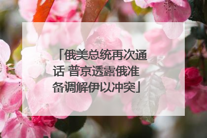 俄美总统再次通话 普京透露俄准备调解伊以冲突