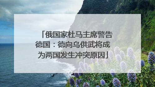 俄国家杜马主席警告德国：德向乌供武将成为两国发生冲突原因