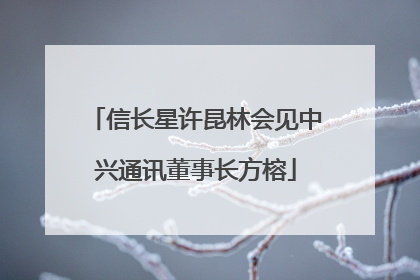 信长星许昆林会见中兴通讯董事长方榕