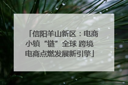 信阳羊山新区：电商小镇“链”全球 跨境电商点燃发展新引擎