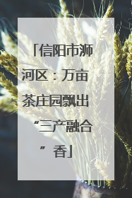 信阳市浉河区：万亩茶庄园飘出“三产融合”香