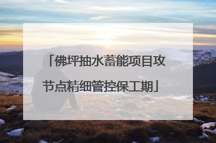 佛坪抽水蓄能项目攻节点精细管控保工期
