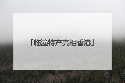 临潼特产亮相香港
