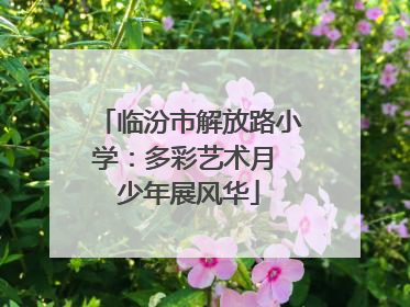 临汾市解放路小学：多彩艺术月 少年展风华