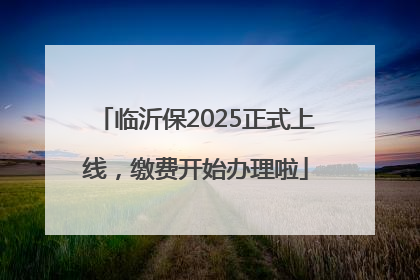 临沂保2025正式上线，缴费开始办理啦