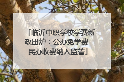 临沂中职学校学费新政出炉：公办免学费 民办收费纳入监管