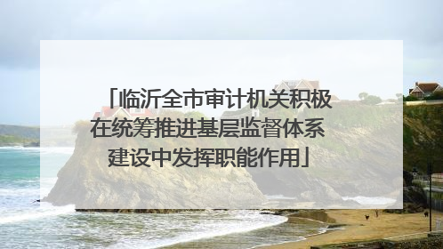 临沂全市审计机关积极在统筹推进基层监督体系建设中发挥职能作用