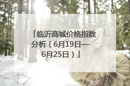 临沂商城价格指数分析（6月19日—6月25日）