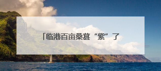 临港百亩桑葚“紫”了！采摘期可至7月初