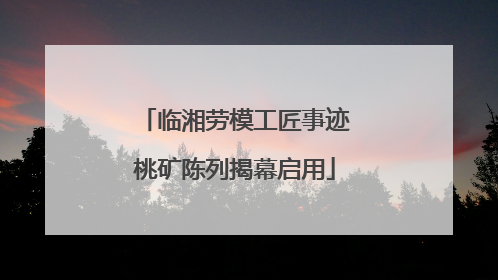 临湘劳模工匠事迹桃矿陈列揭幕启用