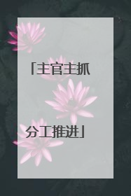 主官主抓 分工推进