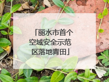 丽水市首个空域安全示范区落地青田