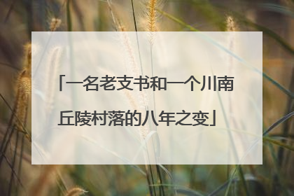 一名老支书和一个川南丘陵村落的八年之变