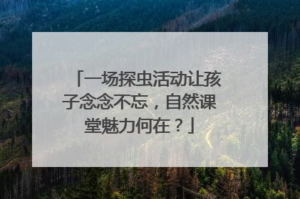 一场探虫活动让孩子念念不忘，自然课堂魅力何在？