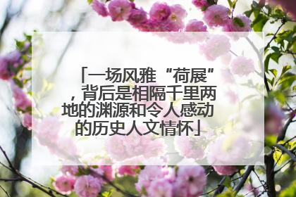一场风雅“荷展”，背后是相隔千里两地的渊源和令人感动的历史人文情怀