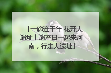 一廊连千年 花开大遗址丨遗产日一起来河南，行走大遗址