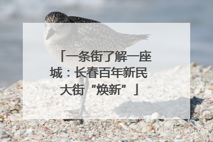 一条街了解一座城：长春百年新民大街“焕新”