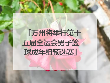 万州将举行第十五届全运会男子篮球成年组预选赛