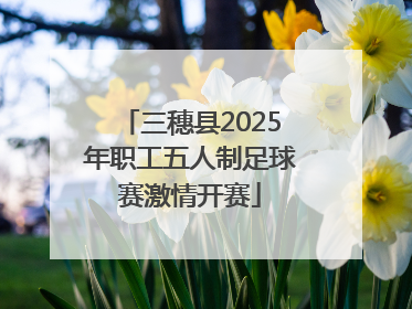 三穗县2025年职工五人制足球赛激情开赛