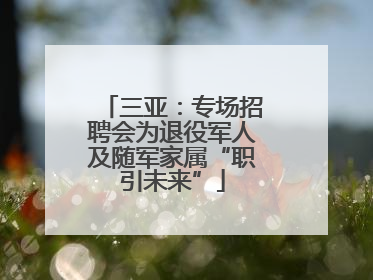 三亚：专场招聘会为退役军人及随军家属“职引未来”