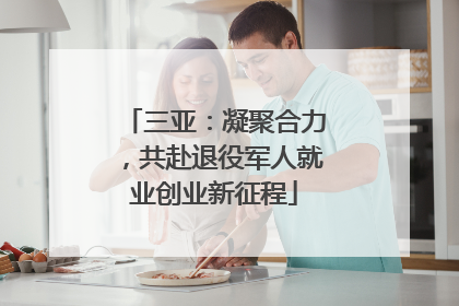 三亚：凝聚合力，共赴退役军人就业创业新征程