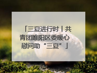 三夏进行时丨共青团睢阳区委暖心慰问助“三夏”