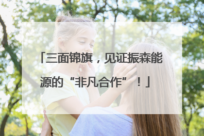 三面锦旗，见证振森能源的“非凡合作”！
