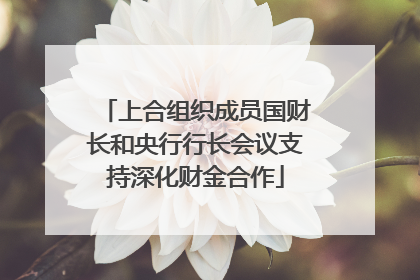 上合组织成员国财长和央行行长会议支持深化财金合作