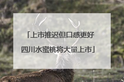 上市推迟但口感更好 四川水蜜桃将大量上市