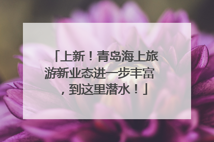 上新！青岛海上旅游新业态进一步丰富，到这里潜水！