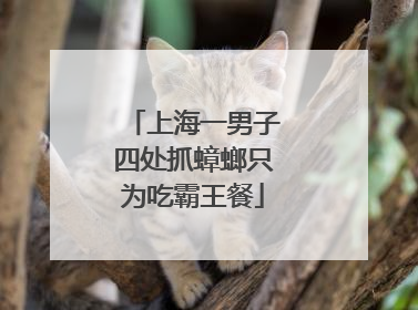 上海一男子四处抓蟑螂只为吃霸王餐